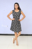 Anika Rao at Swayam vadha Teaser Launch (7)