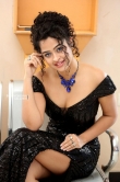 Actress Anketa Maharana Stills (27)