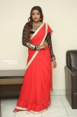 Ashi Roy in saree stills (10)