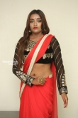 Ashi Roy in saree stills (11)