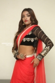 Ashi Roy in saree stills (12)