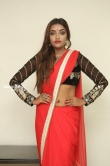 Ashi Roy in saree stills (13)