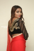 Ashi Roy in saree stills (15)