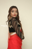 Ashi Roy in saree stills (16)