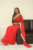 Ashi Roy in saree stills (17)