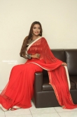 Ashi Roy in saree stills (18)