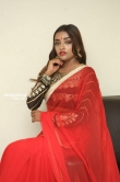 Ashi Roy in saree stills (19)