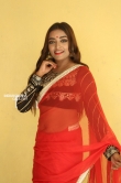 Ashi Roy in saree stills (2)