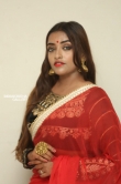 Ashi Roy in saree stills (20)