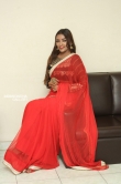 Ashi Roy in saree stills (21)