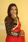 Ashi Roy in saree stills (3)