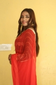 Ashi Roy in saree stills (4)