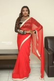 Ashi Roy in saree stills (5)