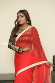 Ashi Roy in saree stills (6)