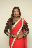 Ashi Roy in saree stills (8)
