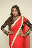 Ashi Roy in saree stills (9)