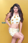 Ashima narwal glamour photo shoot (4)