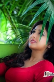 actress-aavaana-stills-94559