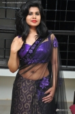 alekhya-in-purple-saree-august-2015-stills-57518