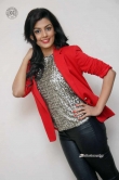 anisha-ambrose-at-a-2nd-hand-lover-banner-launch-273602