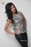 anisha-ambrose-at-a-2nd-hand-lover-banner-launch-292882