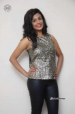 anisha-ambrose-at-a-2nd-hand-lover-banner-launch-301325
