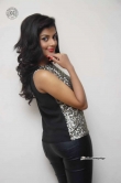 anisha-ambrose-at-a-2nd-hand-lover-banner-launch-344441