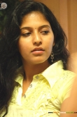 actress-anjali-2010-stills-1185280