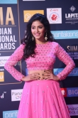 Anjali at SIIMA Awards 2018 day 2 (1)