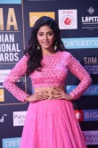Anjali at SIIMA Awards 2018 day 2 (2)