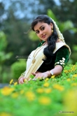 Ansiba Hassan in saree photo shoot stills (12)