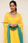 anu emmanuel in yellow saree stills (9)