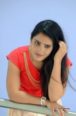 actress-anusha-stills-283016