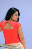 actress-anusha-stills-291032