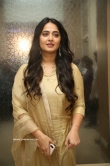 Anushka Shetty at Nishabdham Movie Pre Release Event ( (13)