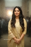 Anushka Shetty at Nishabdham Movie Pre Release Event (15)