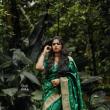 Anjali-Nair-in-green-saree-3