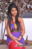 actress-bindhu-barbie-august-2014-stills-155172