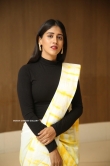 Chandini Chowdary at Madha movie pre release event (12)