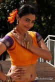 daisy-shah-in-gajendra-movie-stills-20-09-12-29596