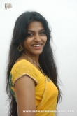 actress-dhansika-2011-photos-513156