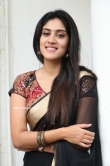 Dhanya Balakrishna in black saree (4)