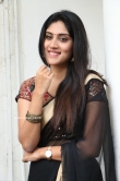 Dhanya Balakrishna in black saree (5)