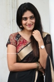 Dhanya Balakrishna in black saree (7)