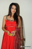 actress-deeksha-panth-2012-photos-136744