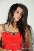 actress-deeksha-panth-2012-photos-157086