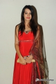 actress-deeksha-panth-2012-photos-163003