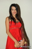 actress-deeksha-panth-2012-photos-199282