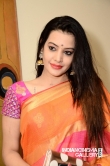 Deeksha Panth in Saree stills (3)