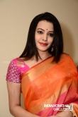 Deeksha Panth in Saree stills (7)